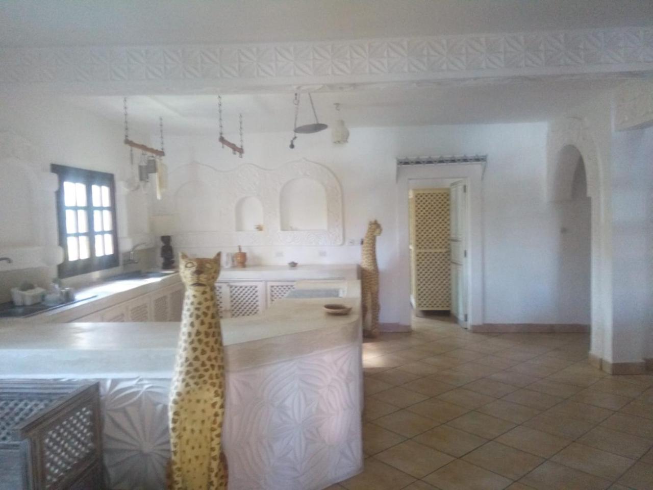 לינה וארוחת בוקר וואטאמו Pashmina House מראה חיצוני תמונה